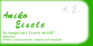 aniko eisele business card